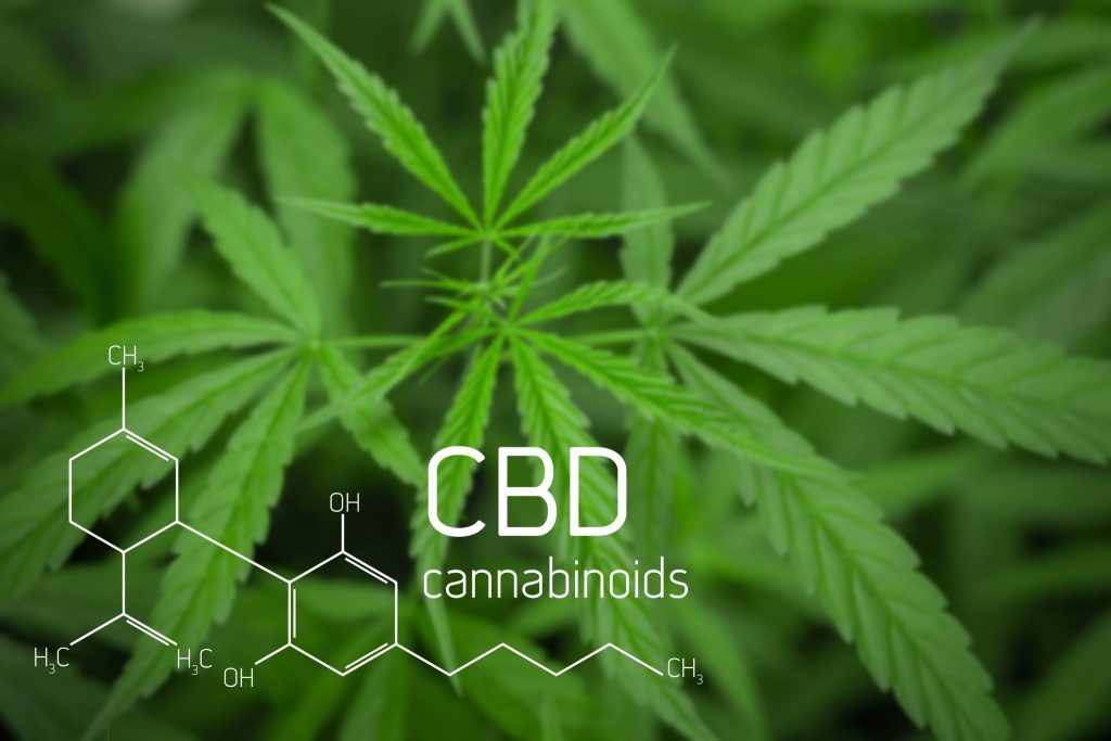 What is CBD